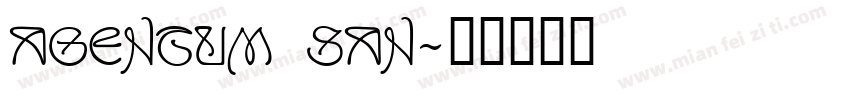 Agentum SAN字体转换